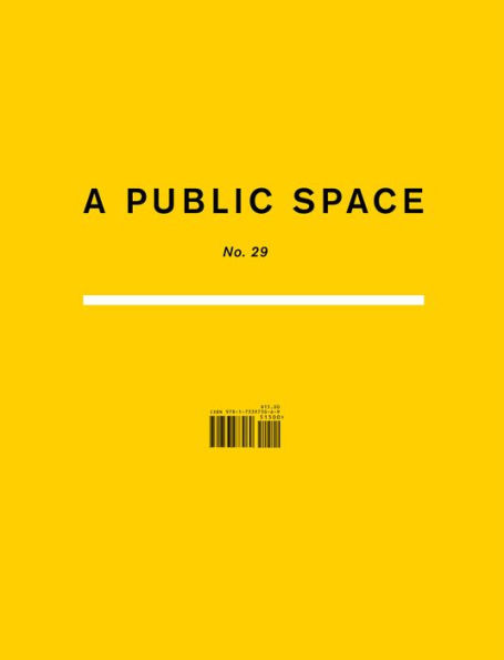 A Public Space No. 29