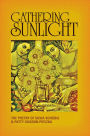 Gathering Sunlight