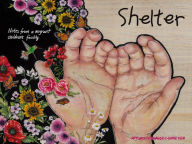 Title: Shelter: Notes from a Detained Migrant Children's Facility, Author: Arturo Hernandez-Sametier