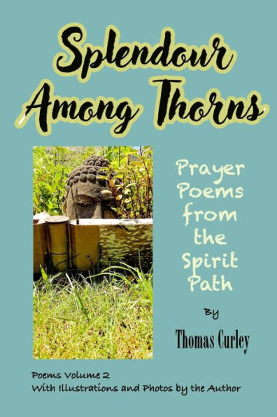 Splendour Among Thorns: Prayer Poems from the Spirit Path