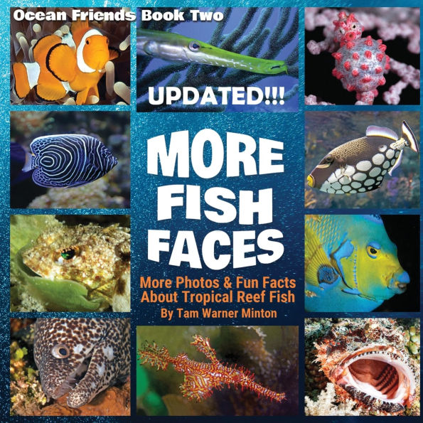 More Fish Faces UPDATED: Updated Photos and Fun Facts about Tropical Reef