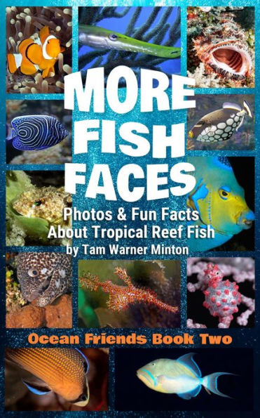 More Fish Faces: More Photos and Fun Facts about Tropical Reef Fish