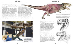 Alternative view 4 of Bones Rock!: Everything You Need to Know to Be a Paleontologist