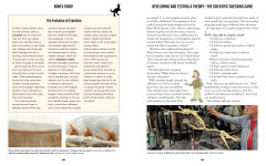 Alternative view 5 of Bones Rock!: Everything You Need to Know to Be a Paleontologist