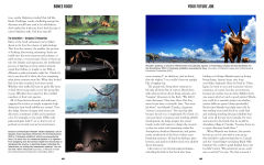 Alternative view 6 of Bones Rock!: Everything You Need to Know to Be a Paleontologist