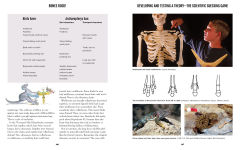 Alternative view 7 of Bones Rock!: Everything You Need to Know to Be a Paleontologist