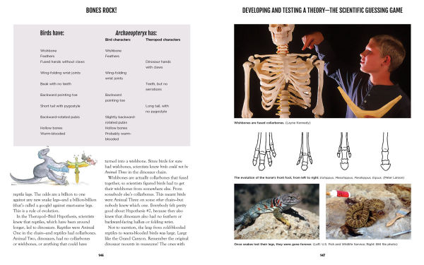 Bones Rock!: Everything You Need to Know to Be a Paleontologist