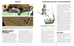 Alternative view 8 of Bones Rock!: Everything You Need to Know to Be a Paleontologist