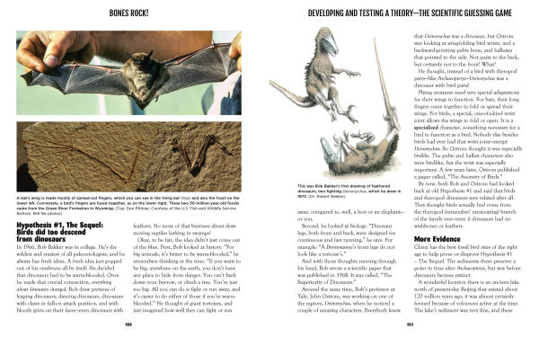 Bones Rock!: Everything You Need to Know to Be a Paleontologist