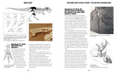 Alternative view 9 of Bones Rock!: Everything You Need to Know to Be a Paleontologist