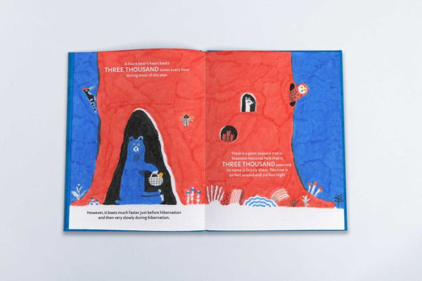 Octopuses Have Zero Bones: A Counting Book About Our Amazing World (Math for Curious Kids, Illustrated Science for Kids)