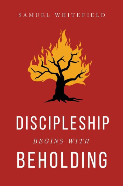 Discipleship Begins with Beholding