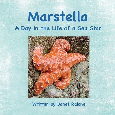 Marstella: A Day in the Life of a Sea Star