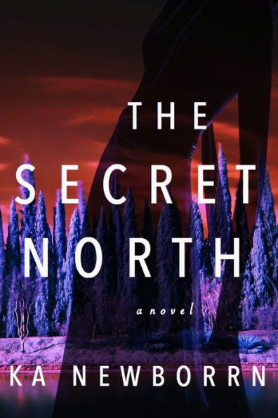 The Secret North