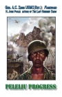 Peleliu Progress