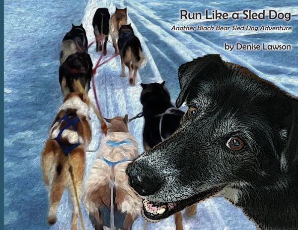 Run Like a Sled Dog: Another Black Bear Sled Dog Adventure