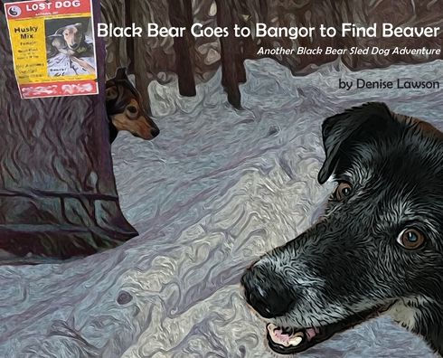 Black Bear Goes to Bangor to Find Beaver