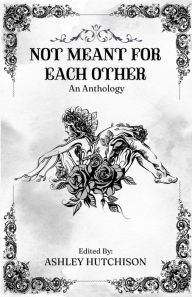 Free ebook for download in pdf Not Meant for Each Other by Ashley Hutchison 9781735676982 