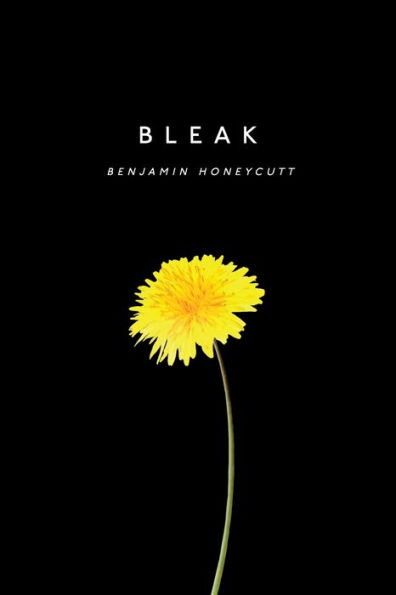 Bleak: A Story of Bullying, Rage and Survival