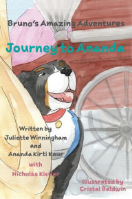 Title: Journey to Ananda, Author: Juliette Winningham