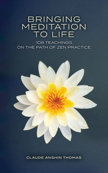 Bringing Meditation to Life: 108 Teachings on the Path of Zen Practice