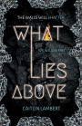 What Lies Above