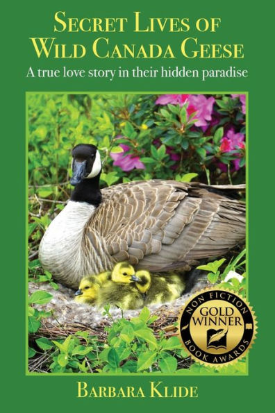 Secret Lives of Wild Canada Geese: A true love story their hidden paradise