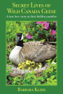 Secret Lives of Wild Canada Geese