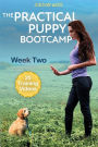 The Practical Puppy Bootcamp: Week Two