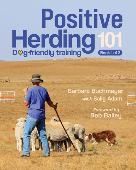 Positive Herding 101: Dog-friendly training