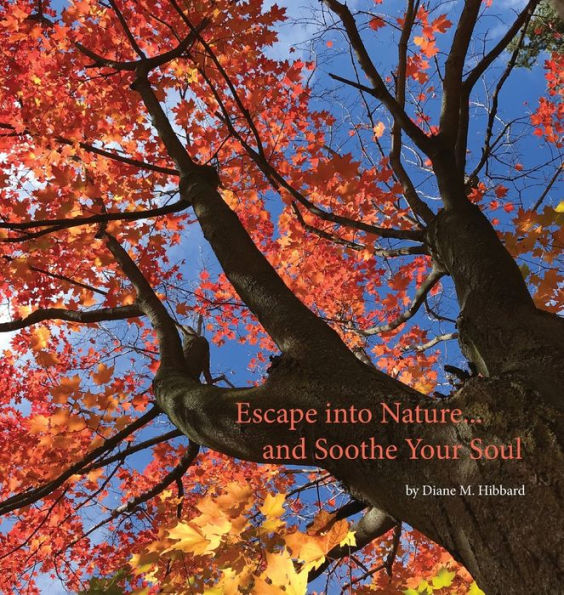 Escape Into Nature... and Soothe Your Soul