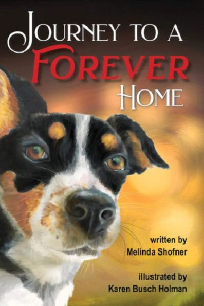 Journey to a Forever Home