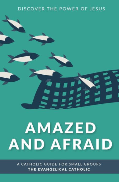 Amazed and Afraid: Discover the Power of Jesus