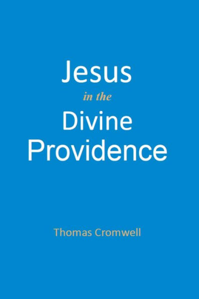 Jesus in the Divine Providence