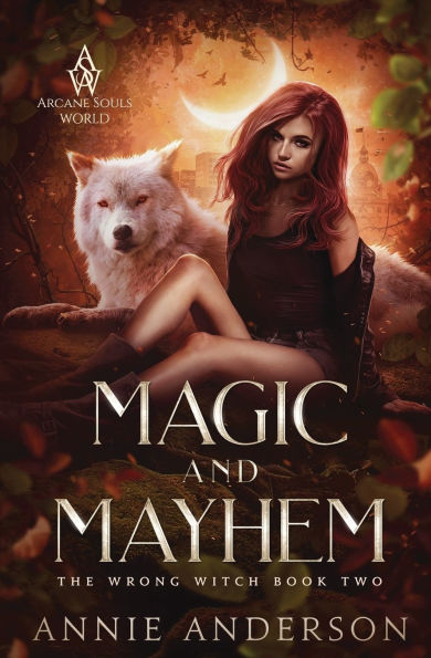 Magic and Mayhem: Arcane Souls World