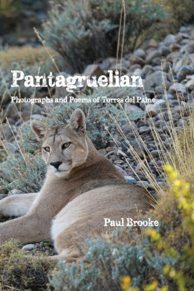 Pantagruelian: Photographs and Poems of Torres del Paine