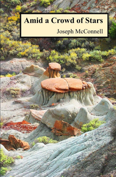 Amid a Crowd of Stars