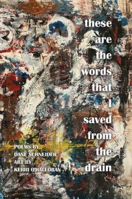 Title: these are the words that I saved from the drain, Author: Dane Schneider