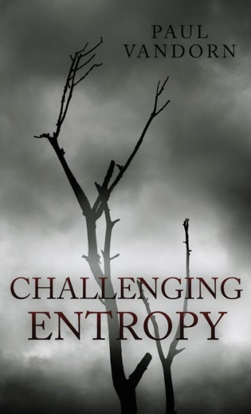 Challenging Entropy