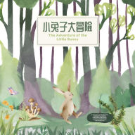 Title: The Adventure of the Little Bunny, Author: Tiny Hands Publishing