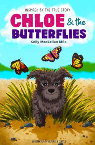 Title: Chloe & the Butterflies, Author: Kelly Maclellan Msc