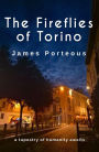 The Fireflies of Torino