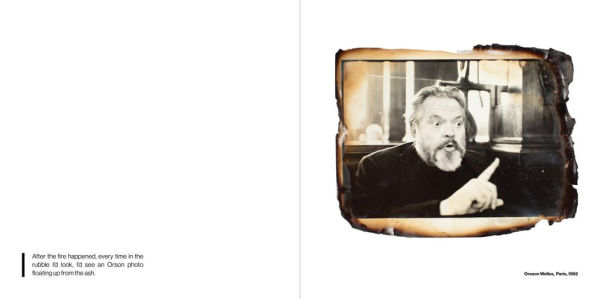 Anne Day: Les Flashes D'Anne: Friendship Among the Ashes with Hervé Guibert