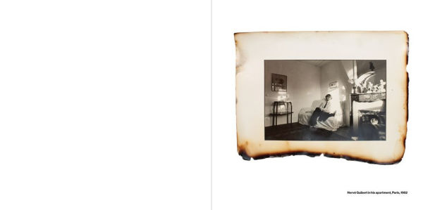 Anne Day: Les Flashes D'Anne: Friendship Among the Ashes with Hervé Guibert