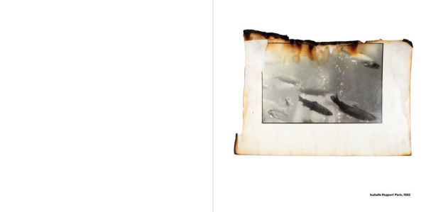 Anne Day: Les Flashes D'Anne: Friendship Among the Ashes with Hervé Guibert