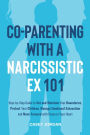 Co-Parenting with a Narcissistic Ex 101