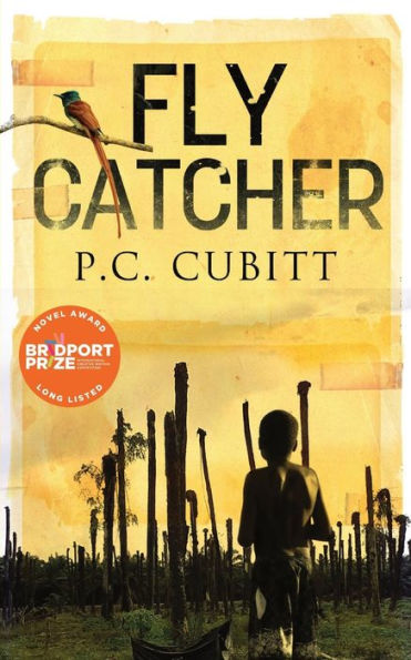 Fly Catcher: Longlisted for the Bridport First Novel Prize