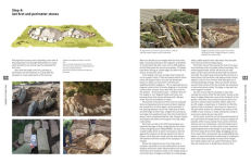 Alternative view 2 of The Crevice Garden: How to make the perfect home for plants from rocky places
