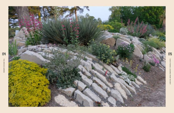 The Crevice Garden: How to make the perfect home for plants from rocky places