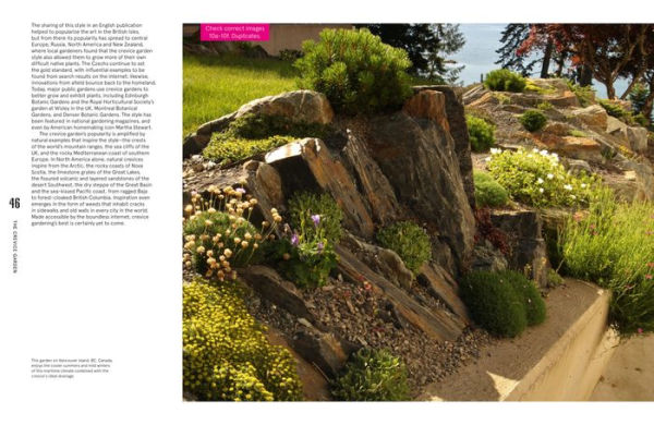 The Crevice Garden: How to make the perfect home for plants from rocky places